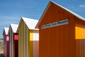 Traitement Punaises de Lit Le Bouscat